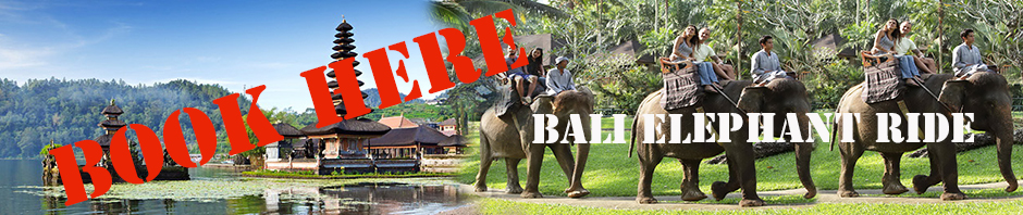 Balielephantride.net - Copy